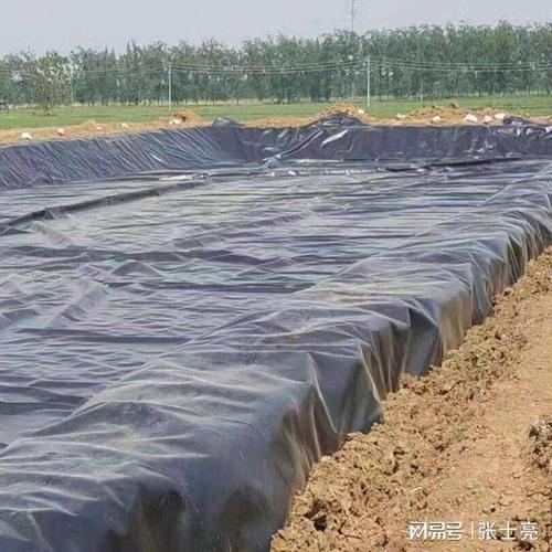 主营产品包括防渗膜,土工膜,复合